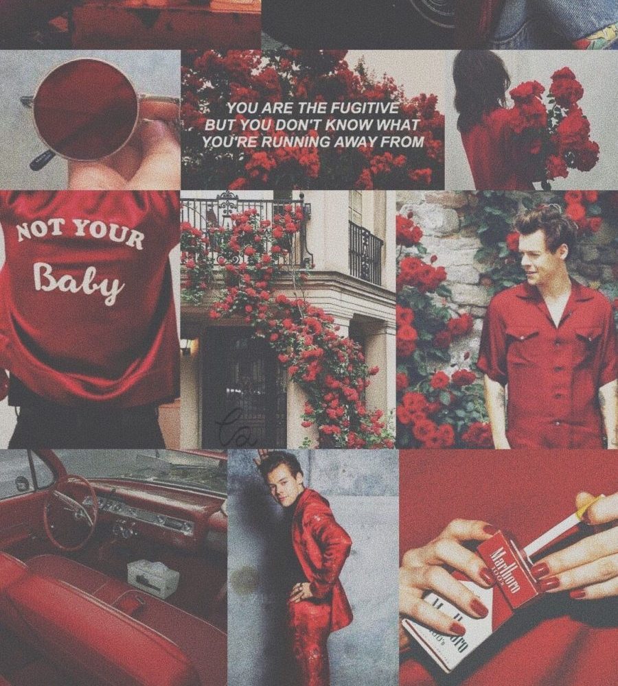 Harry-Styles-Portugal-concerto-bilhetes-OLX