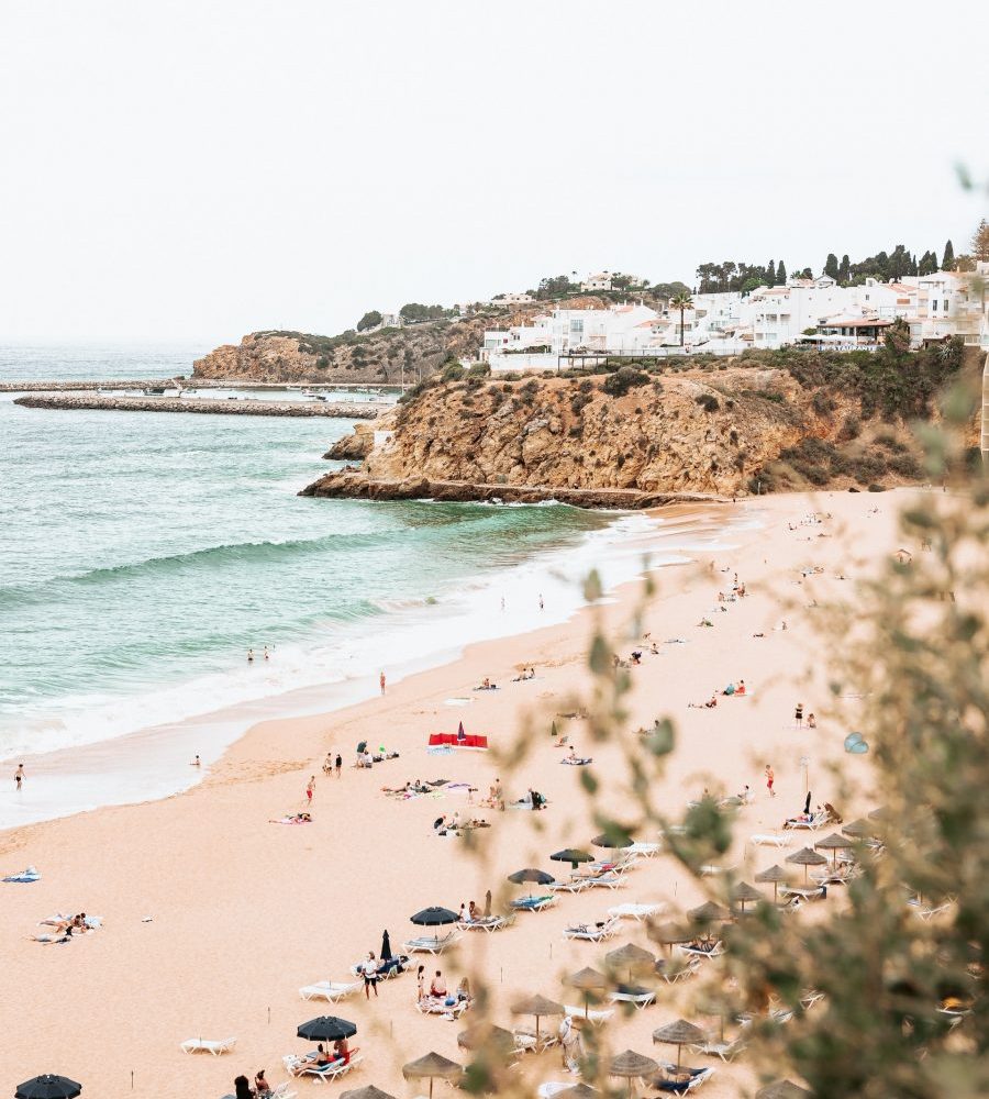 Photo by micheile dot com on Unsplash