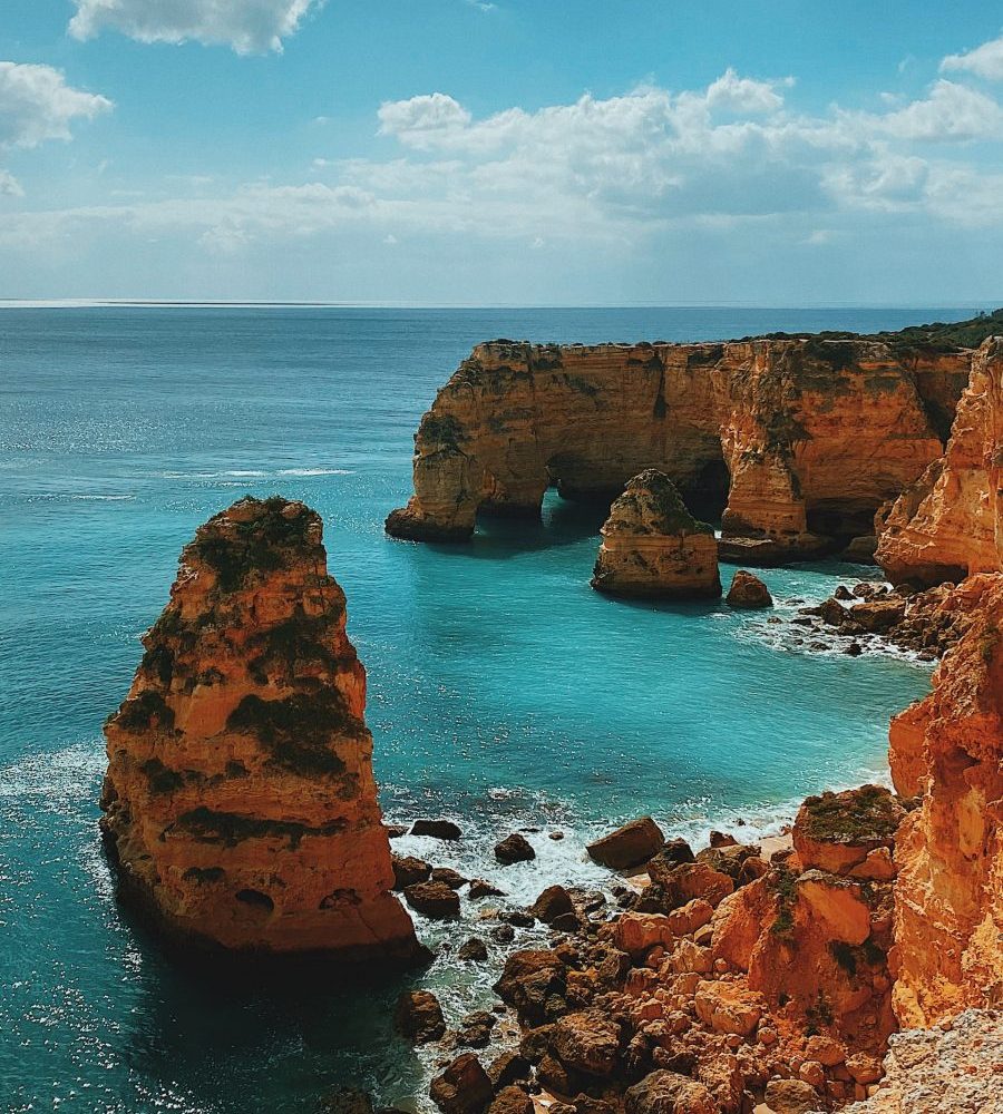 Photo by Vinicius Morandi on Unsplash