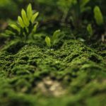 agenda para novembro da fundação de serralves – programação cultural, exposições e actividades 3 Serralves